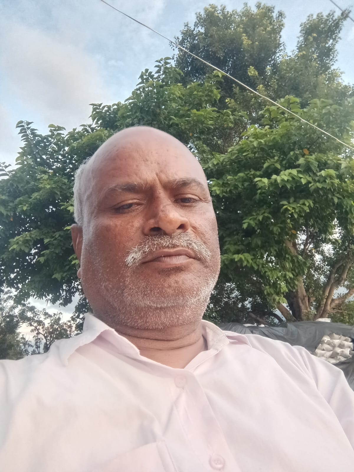 जनार्दन सिंह